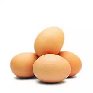 Eggs