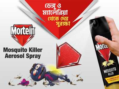 Mortein Mosquito Killer Aerosol Spray 425 ml-offer